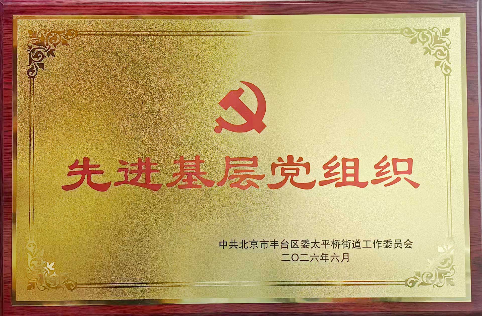 喜报｜党建引领践初心 载誉前行庆华诞——买球开户游戏（中国）官方网站招标集团党支部获评辖区“优秀基层党组织”